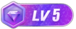 等级-LV5-枫林长空博客